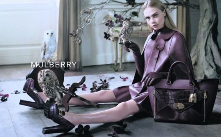 Mulberry