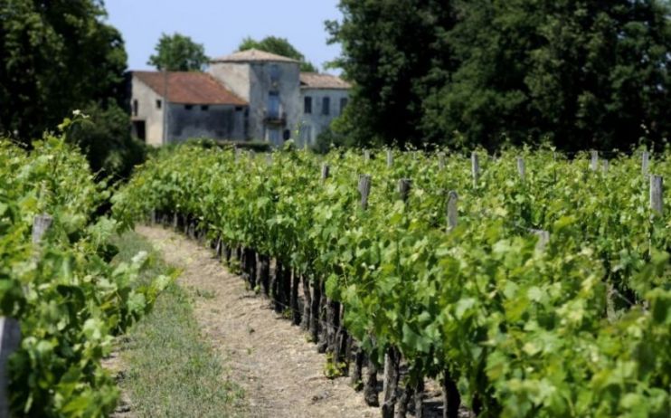 Bordeaux wine has a stuffy image - here's how to drink it well