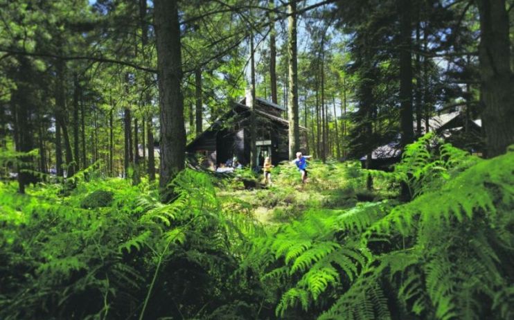 The proposed &pound;4bn sale of Center Parcs has reportedly been scrapped by owner Brookfield amid weak investor confidence.