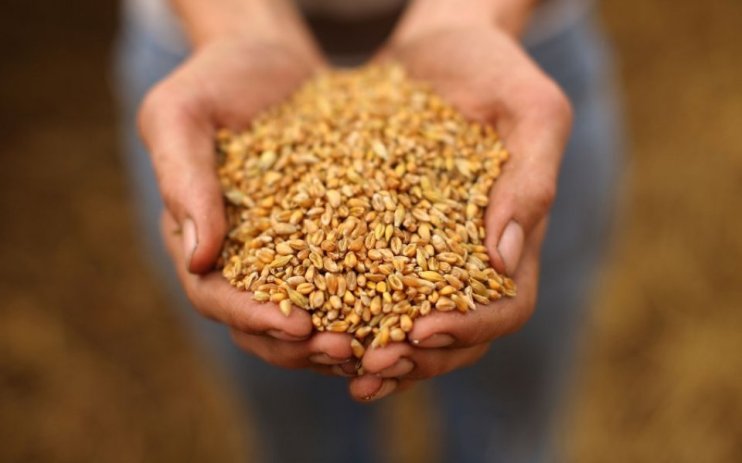 Grain