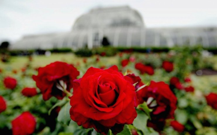 FTSE 100 caterer Compass Group is reportedly in advanced talks to snap up competitor CH&Co, the go-to hospitality provider for Kew Gardens and the Royal Opera House.