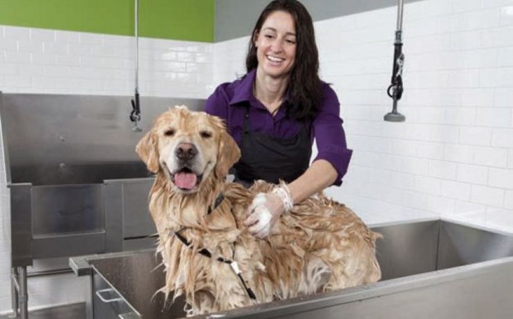 Pets at Home said it is trading in line with lowered expectations, in its first financial update since the competitions watchdog said it would launch a probe into the veterinary industry.&nbsp;