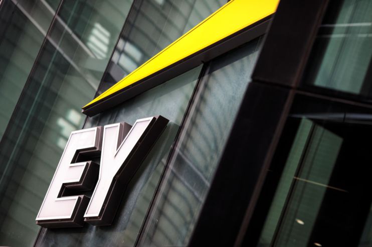 Big four firm EY boosts diversity with new partner intake