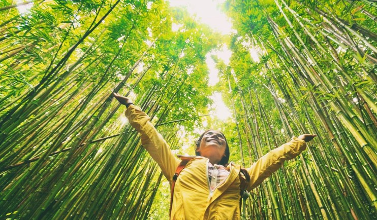 SMEs go green