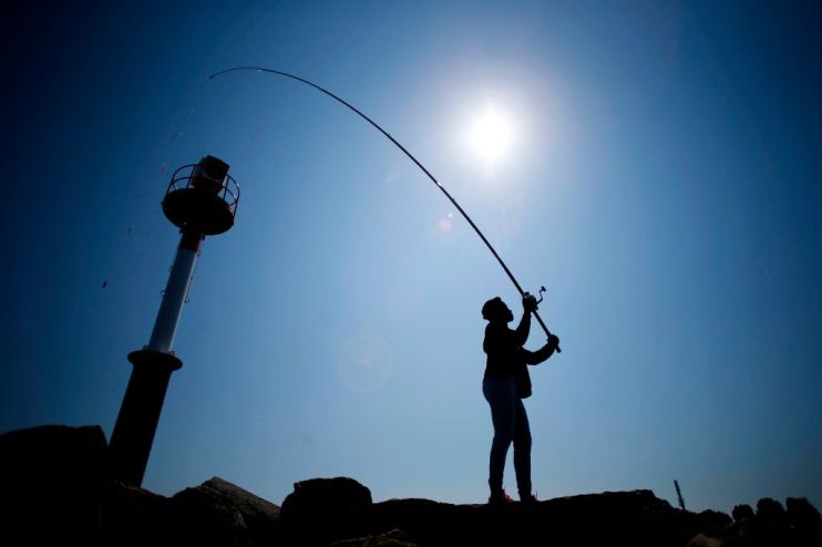 Angling Direct first-half report