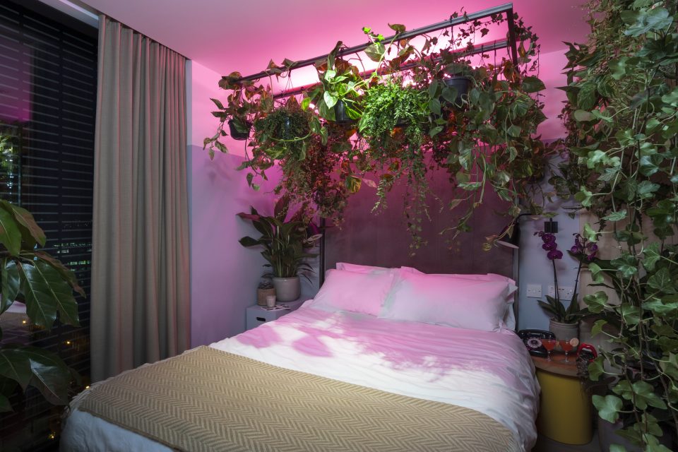 Houseplant hotel