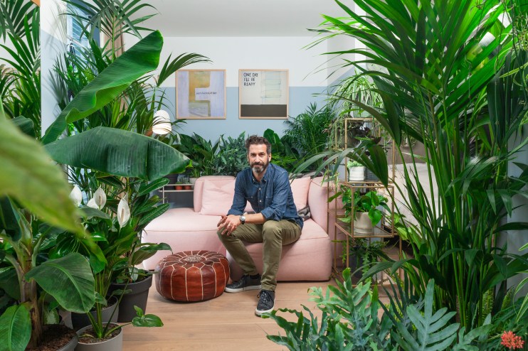 Houseplant hotel