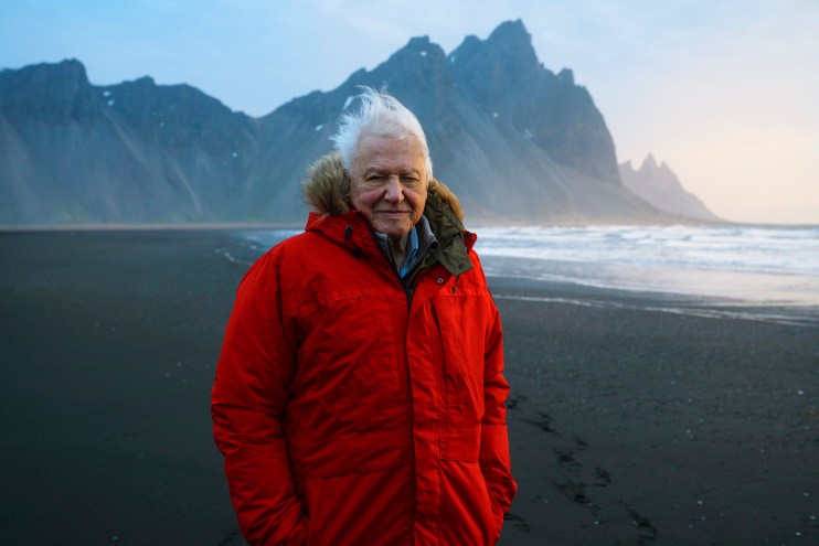 Programme Name: Seven Worlds, One Planet - TX: n/a - Episode: n/a (No. n/a) - Picture Shows: Sir David Attenborough filming at Stokksnes beach in Iceland for Seven Worlds, One Planet. Social Media Use Unless specified to the contrary below, it is permitted to post the image on social network sites such as Facebook provided they are reduced to 72dpi and no more than 720 x 491 pixels in size and the programme title and full copyright credit. Sir David Attenborough - (C) BBC NHU - Photographer: Alex Board