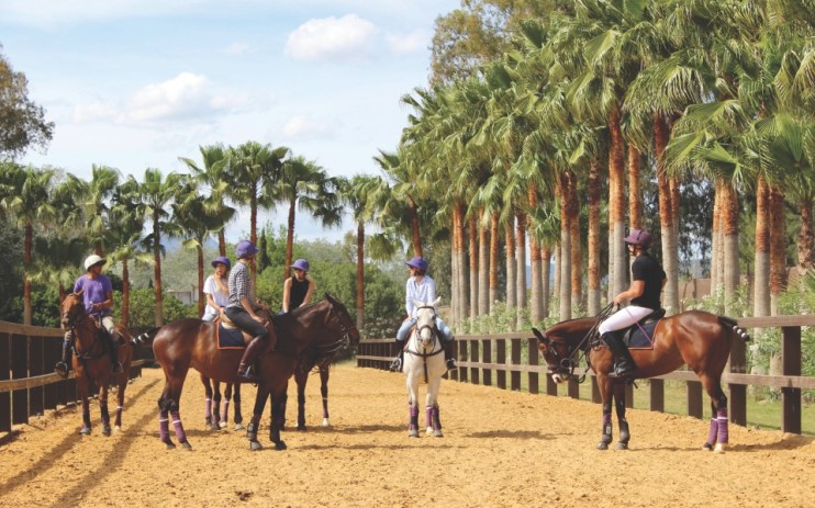 Horses in Polo Valley, Sotogrande