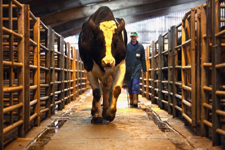 Climate Change Chief Warns We Must Become Vegetarian To Save The Planet