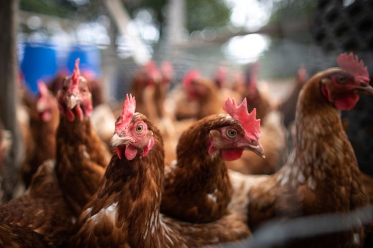 FRANCE-AGRICULTURE-ACCIDENT-POLLUTION-INDUSTRY