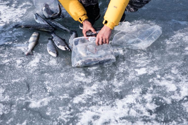 Anglers Go Fishing At South Korea's Mountain Trout Festival