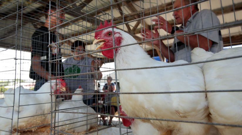 Iowa's Agricultural Economy Under Threat From Trade War With China