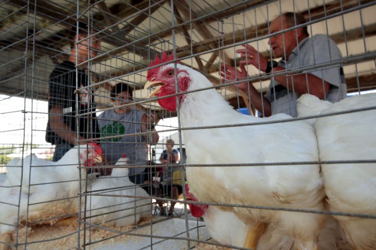 Iowa's Agricultural Economy Under Threat From Trade War With China