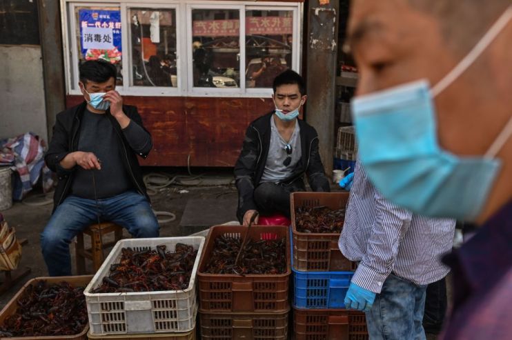 The WHO has said coronavirus likely came from bats and was not made in a lab in China