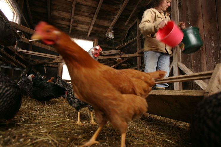 The UK is ready to cut tariffs on US agricultural imports in order to move talks closer to securing a free trade deal, it is reported.