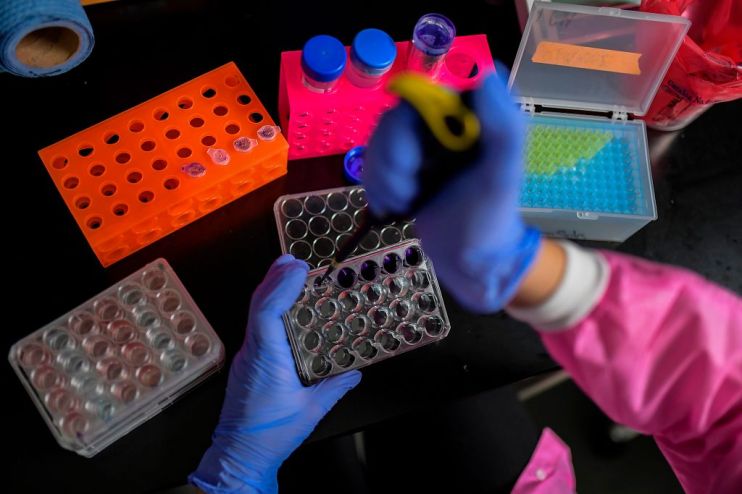 PANAMA-HEALTH-VIRUS-STEM CELLS