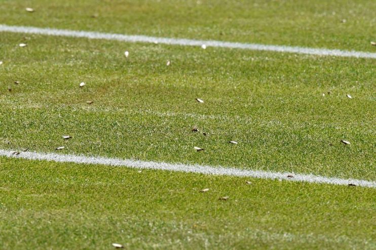 Flying ants have once again taken to the skies of London, with swarms so big that the Met Office weather radar has mistaken them for rain.