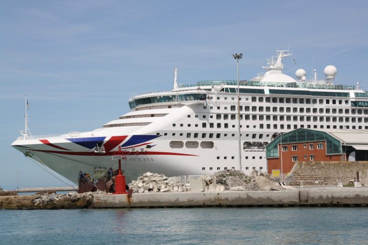 Domestic cruises could restart in the UK along with the lifting of travel restrictions from 17 May, MPs were told today.