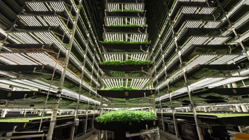 Agronomics reported a loss throughout 2023, down from its significant profits in 2022, while its discount to NAV has continued to widen.