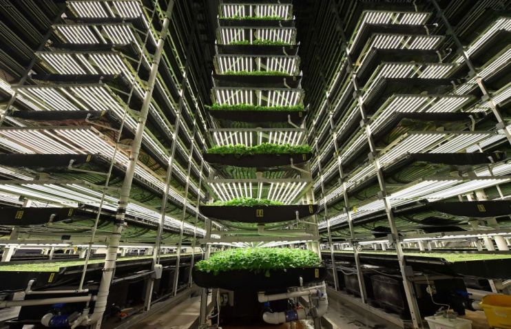 Agronomics reported a loss throughout 2023, down from its significant profits in 2022, while its discount to NAV has continued to widen.
