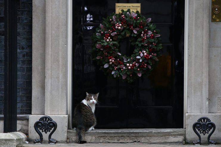 Downing Street Christmas Tree