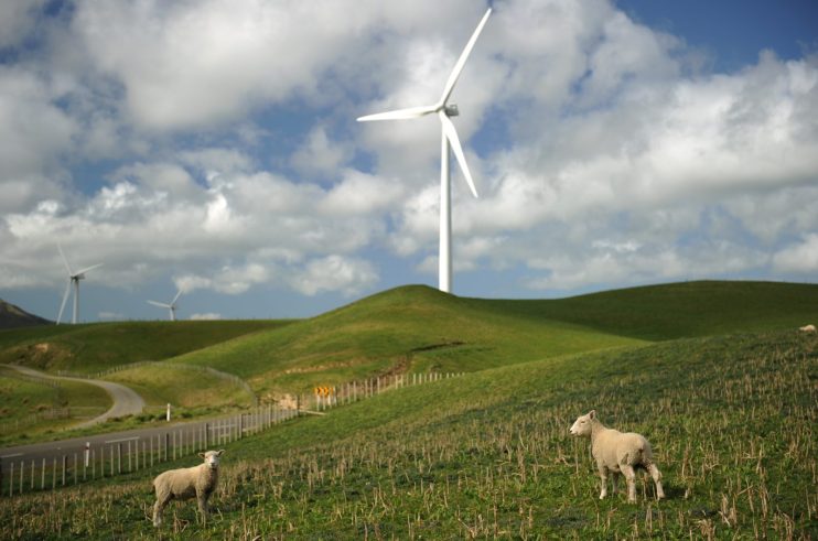 RUGBYU-WC2011-ENVIRONMENT-FEATURE