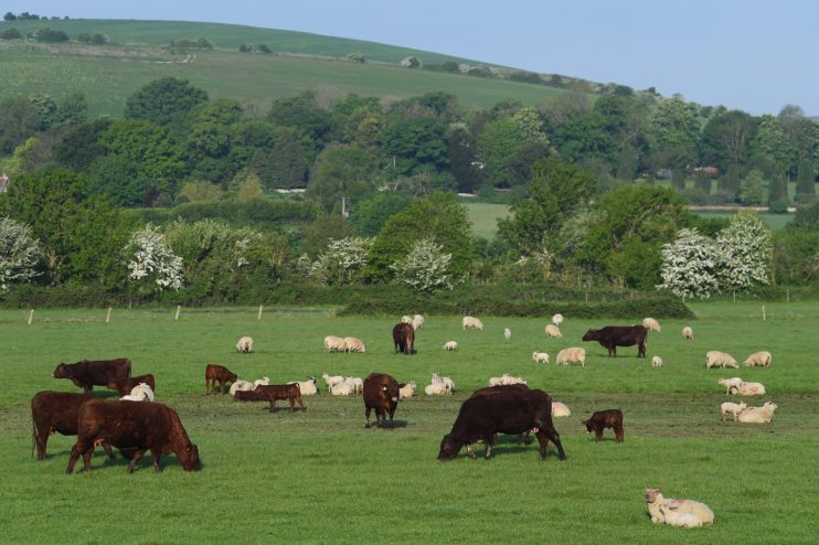 UK In Seventh Week Of Coronavirus Lockdown