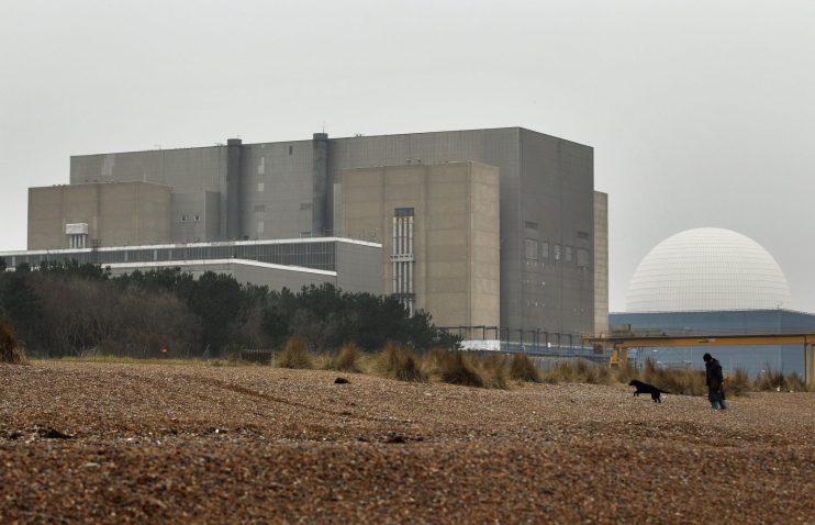 The government is currently the majority shareholder and is currently investing a total of &pound;2.5bn in financial support for the project.