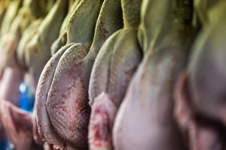 Turkeys bought by restaurants could go to waste as London prepares for tier 3