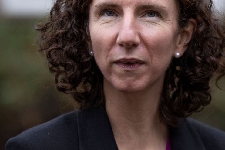Development minister Annaliese Dodds