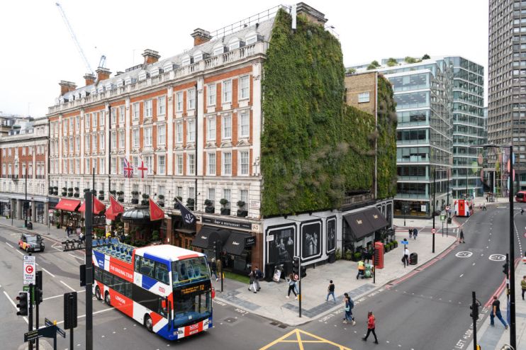 London's Green Spaces Are Celebrated With Garden City Festival