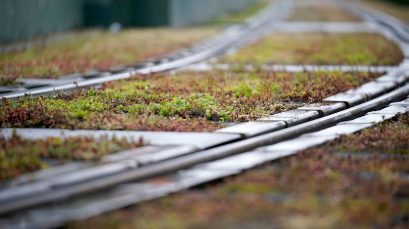 Carbon Done Right is hoping to become the first vertically-integrated carbon project developer