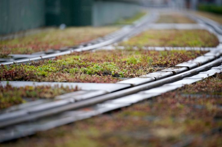 Carbon Done Right is hoping to become the first vertically-integrated carbon project developer