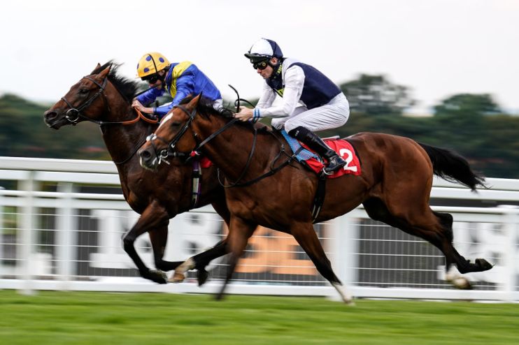 Sandown Races