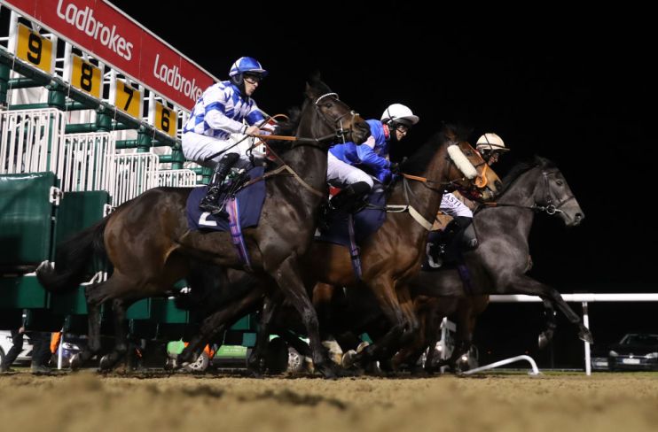 Wolverhampton Races