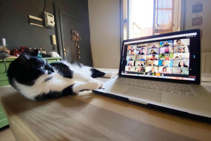 REMOTE-WORKING-MANPOWER-CEO