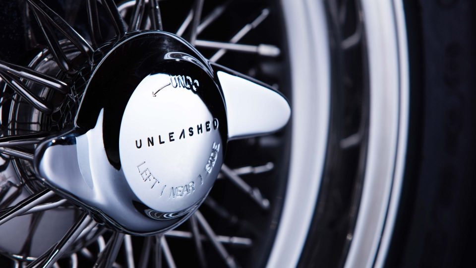 Jaguar E-Type Unleashed