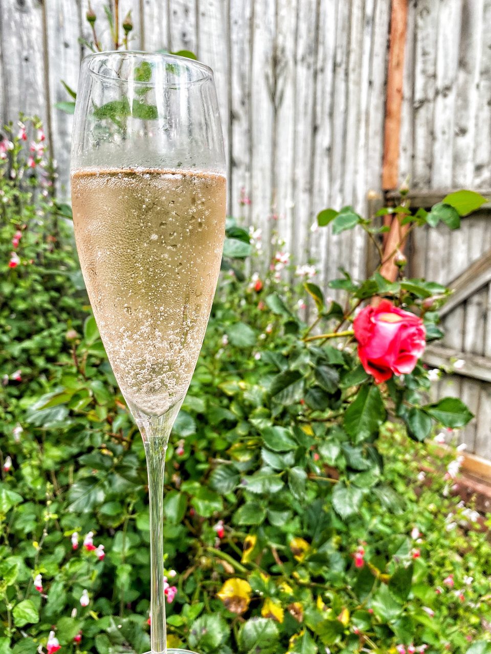 Ros&eacute; Prosecco