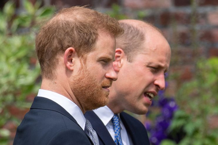 Prince Harry and Prince William