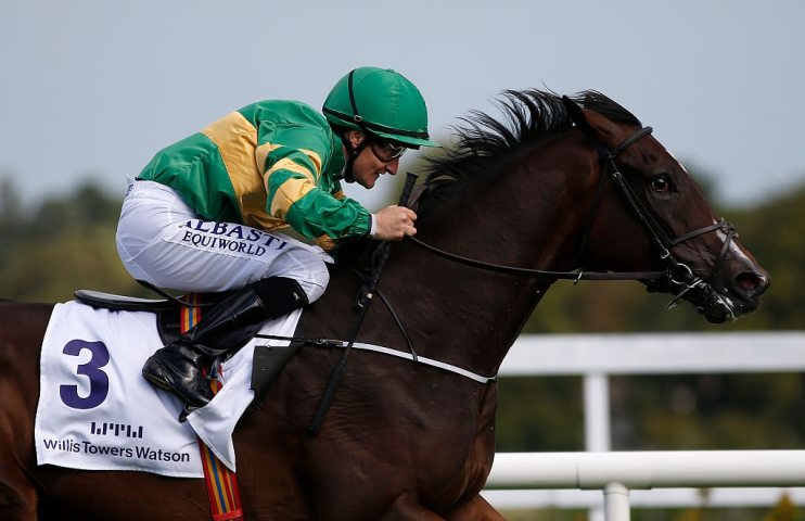Leopardstown Races