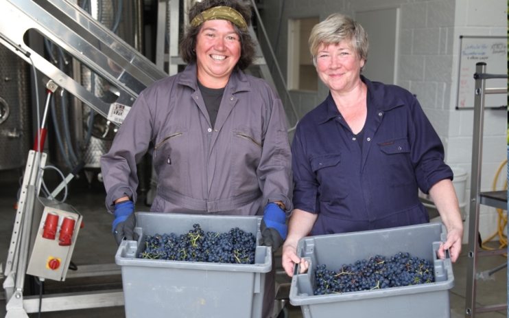 Ros&eacute; wine experts Kristina Studzinski and Ann-Marie Tynan