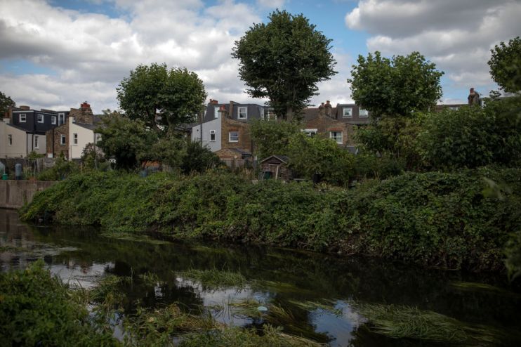 England's Chalk Streams Under Threat