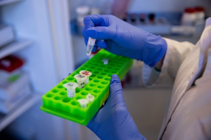 Hungarian Family Firm In Global Covid-19 Vaccine Race