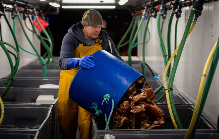 &pound;23 million Government Fund Made Available To British Fishing Industry Affected By Brexit Red Tape
