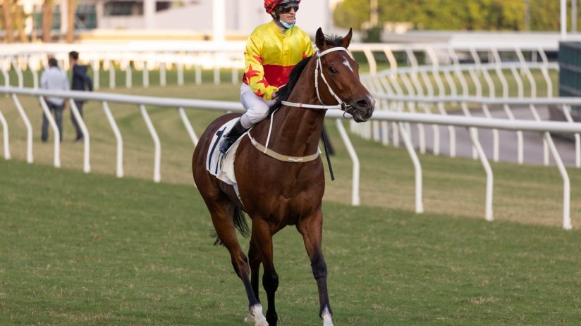 The 'Sell in May' phrase refers to the St Leger's Stakes, a horse race run in Doncaster and a four-day meet during the middle of September.