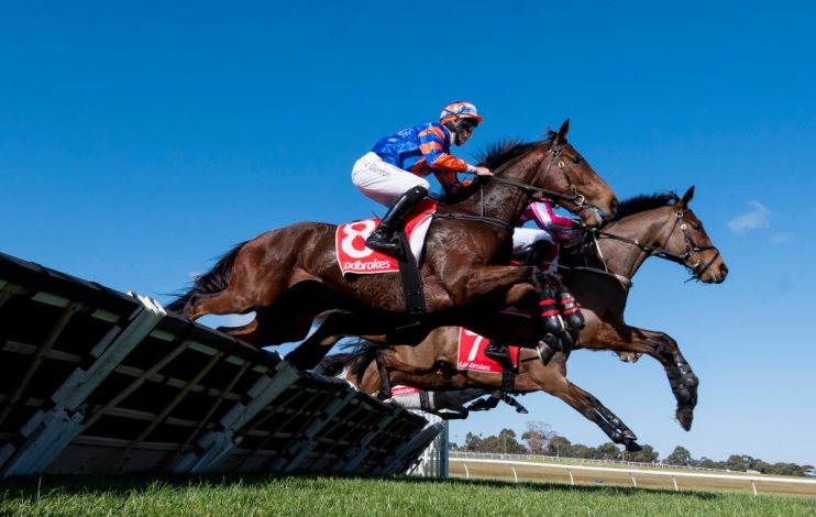 Grand National Hurdles Day