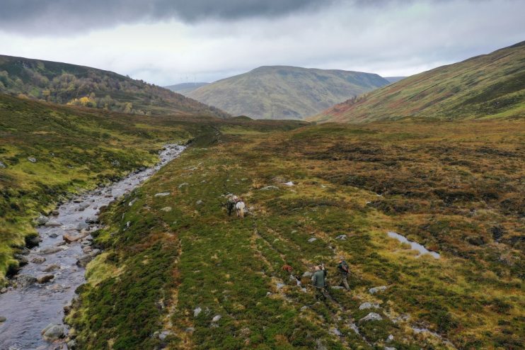Stag Stalking In Scotland