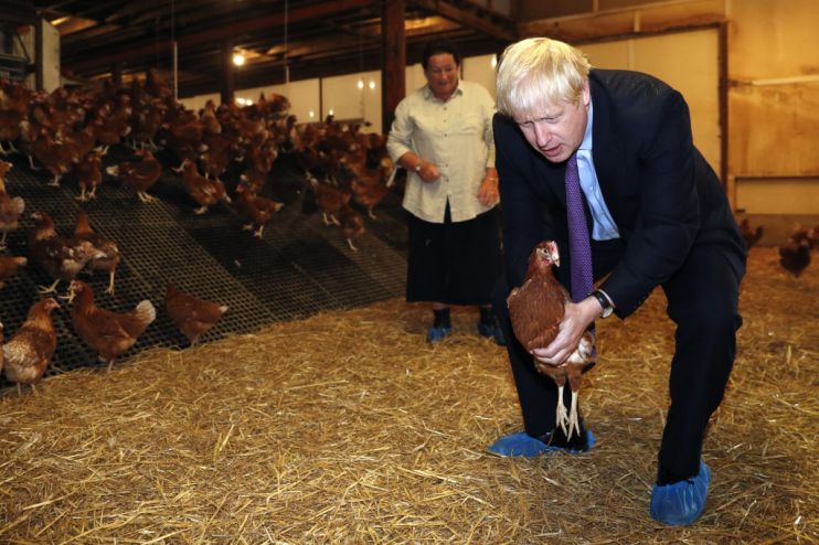 The UK&rsquo;s chicken farmers have become the latest food suppliers to slam the government over new Brexit border rules, which are causing enormous disruption to supply chains.