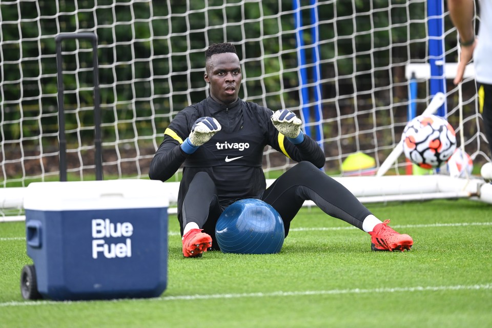 The Blue Fuel range of drinks, bars and gummies is now in use at other elite clubs besides Chelsea, says Chelsea Digital Ventures